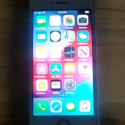 iPhone SE (1st Generation)